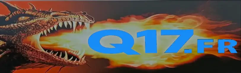 Q17.fr